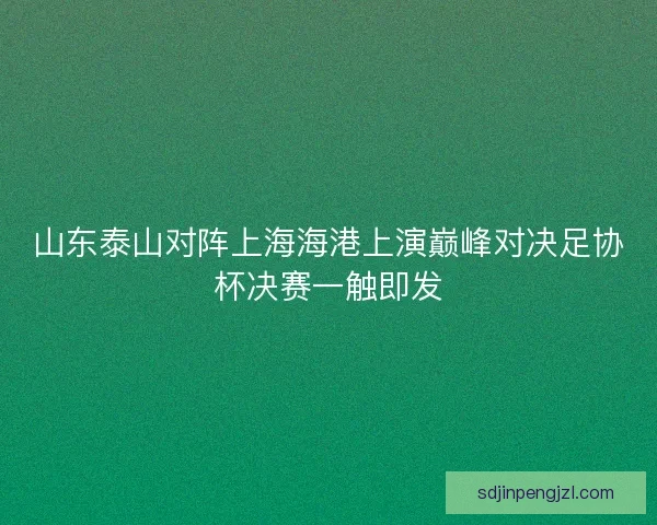 山东泰山对阵上海海港上演巅峰对决足协杯决赛一触即发